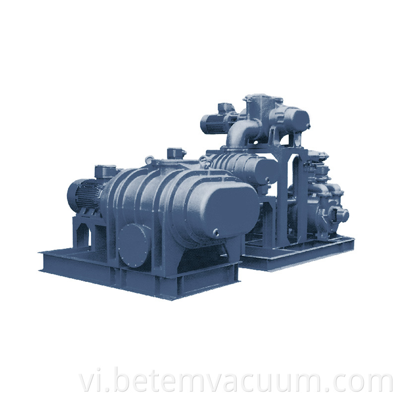 Roots vacuum pump